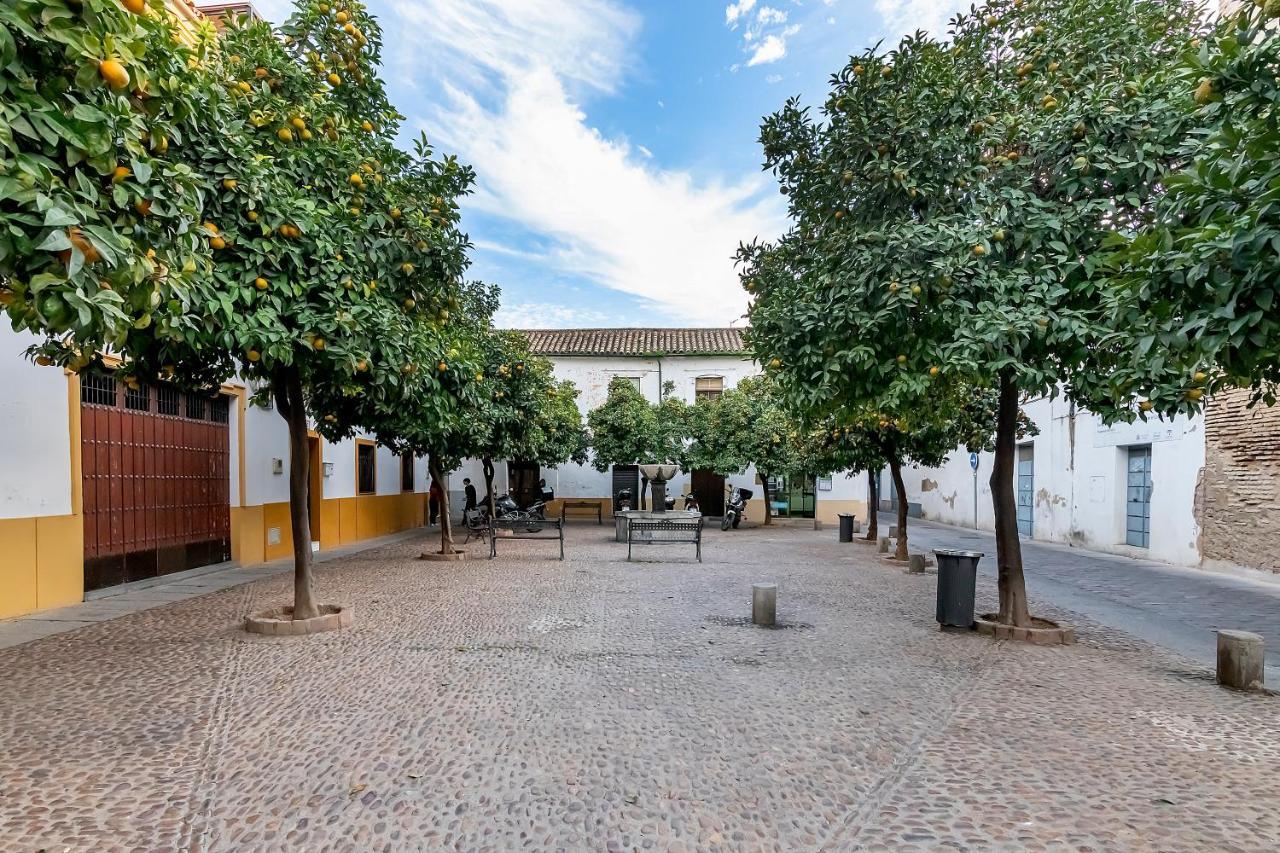 Bhost - Regina VI Lägenhet Córdoba Exteriör bild